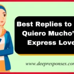 Best Replies to “Te Quiero Mucho” – Express Love